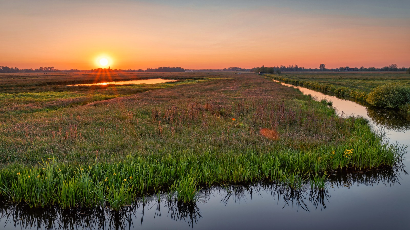 Zonsondergang boven een groene polder met sloot