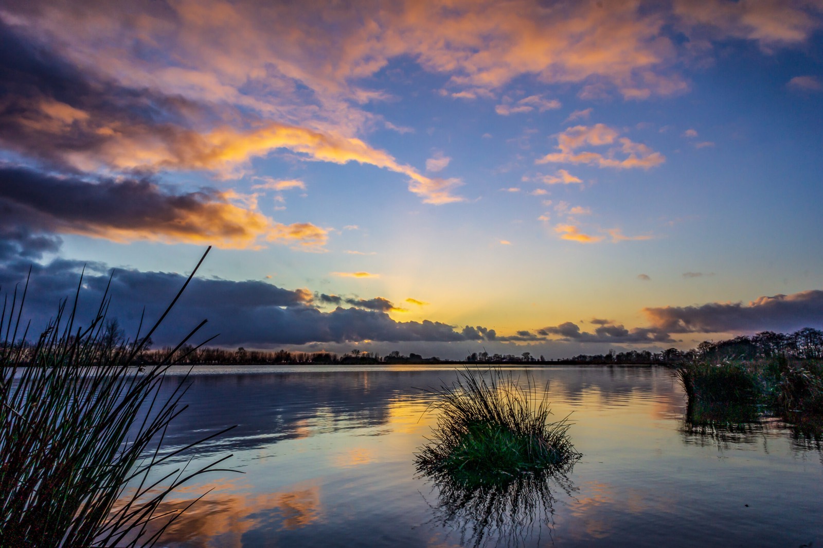 Zonsondergang weerspiegeld in stil water met riet
